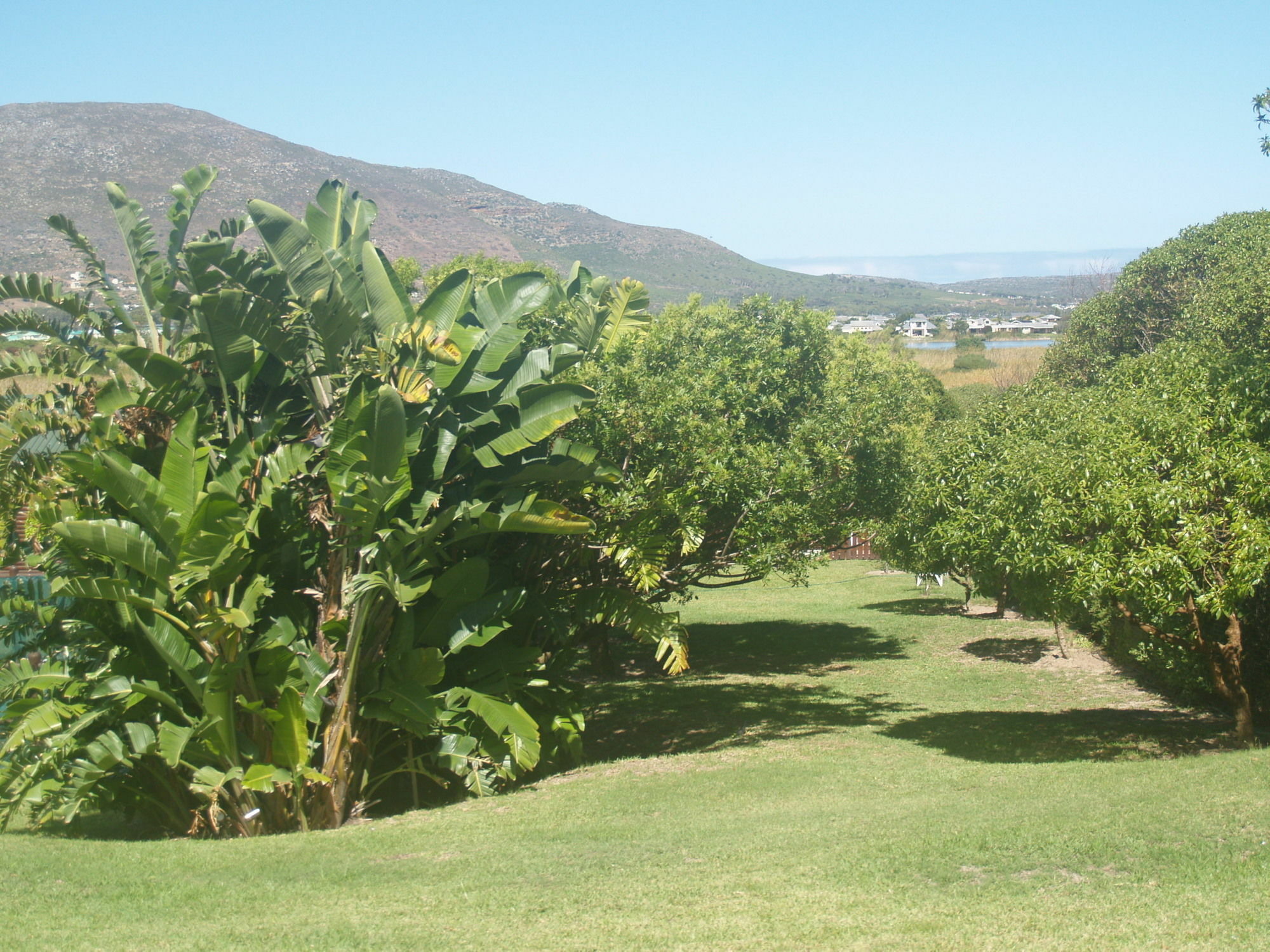 Horizon Cottages Noordhoek Exterior photo